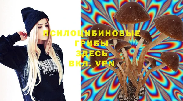 молекула духа Баксан